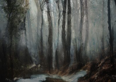 WoodSpring black & white ink